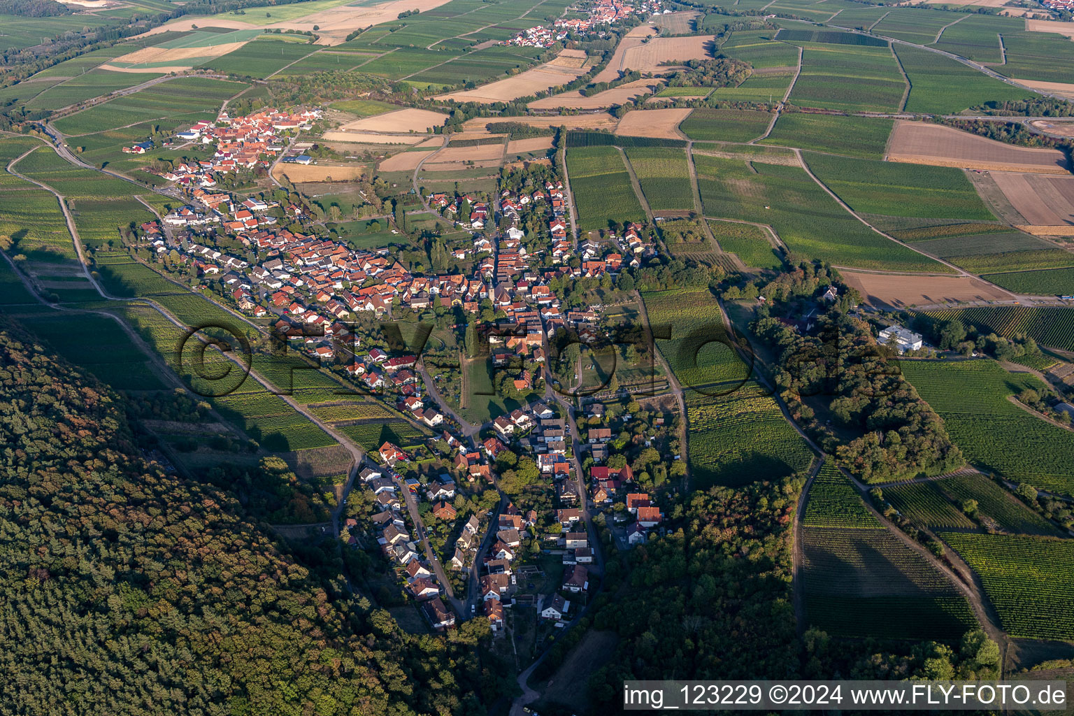 Quartier Pleisweiler in Pleisweiler-Oberhofen dans le département Rhénanie-Palatinat, Allemagne vue d'en haut