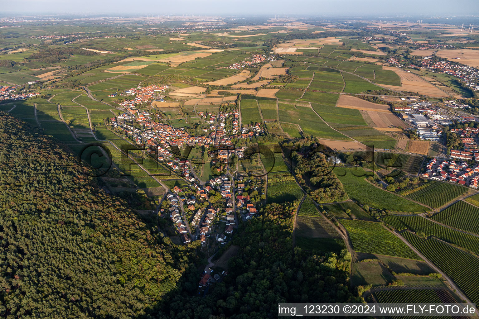 Quartier Pleisweiler in Pleisweiler-Oberhofen dans le département Rhénanie-Palatinat, Allemagne depuis l'avion