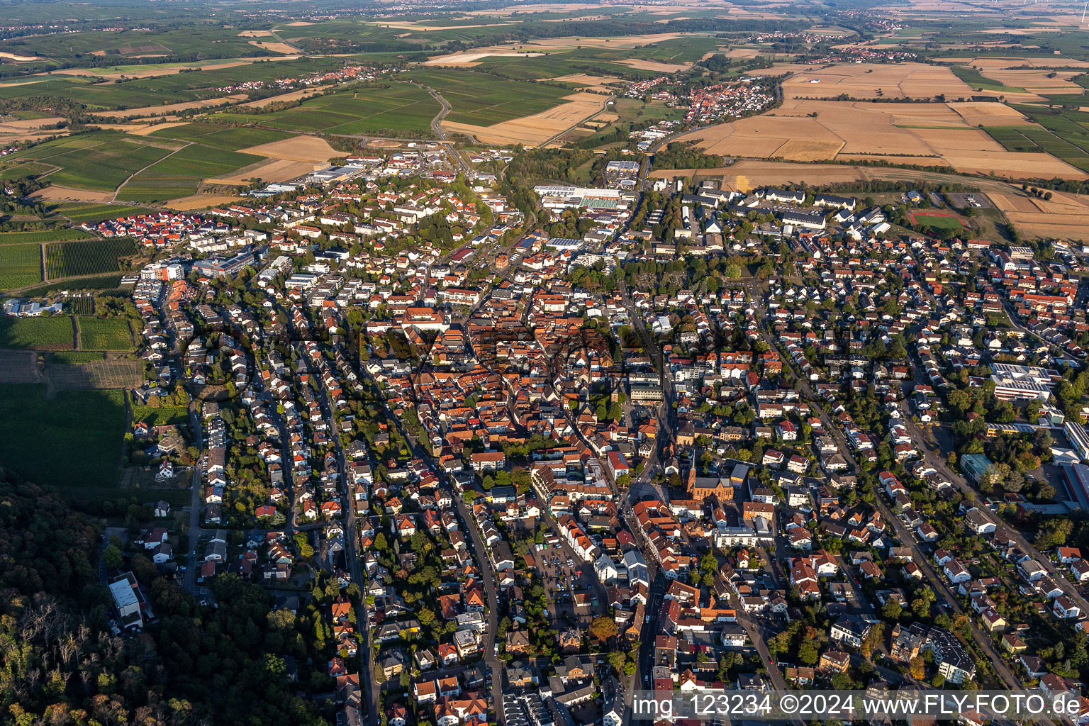 Enregistrement par drone de Bad Bergzabern dans le département Rhénanie-Palatinat, Allemagne