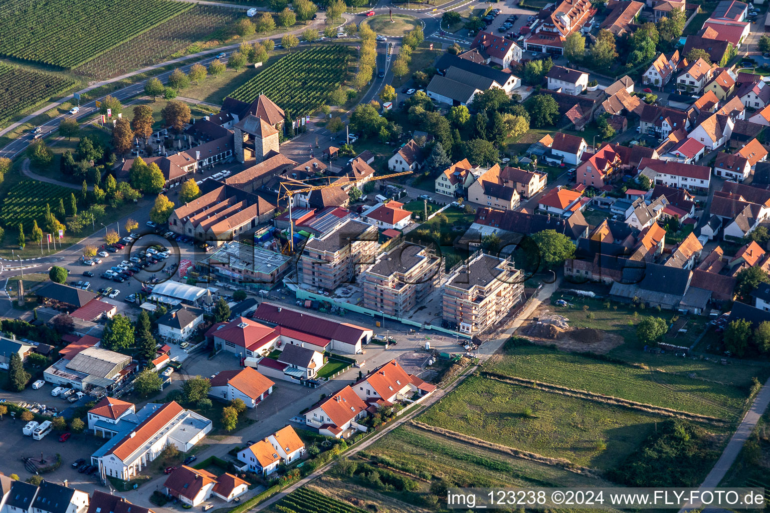 Vue aérienne de Nouveau chantier sur Sylvanerstr à le quartier Schweigen in Schweigen-Rechtenbach dans le département Rhénanie-Palatinat, Allemagne