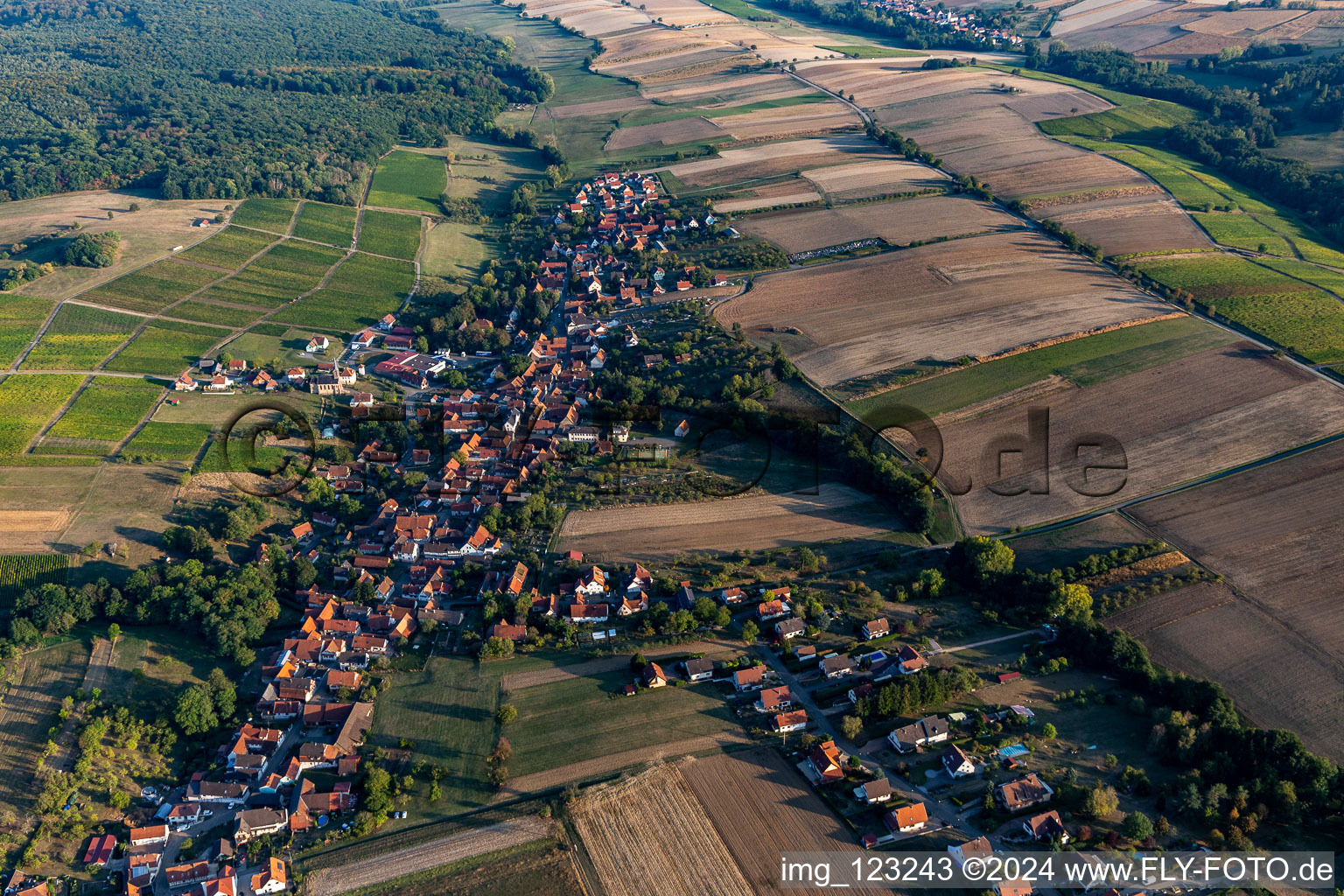 Cleebourg dans le département Bas Rhin, France vue d'en haut