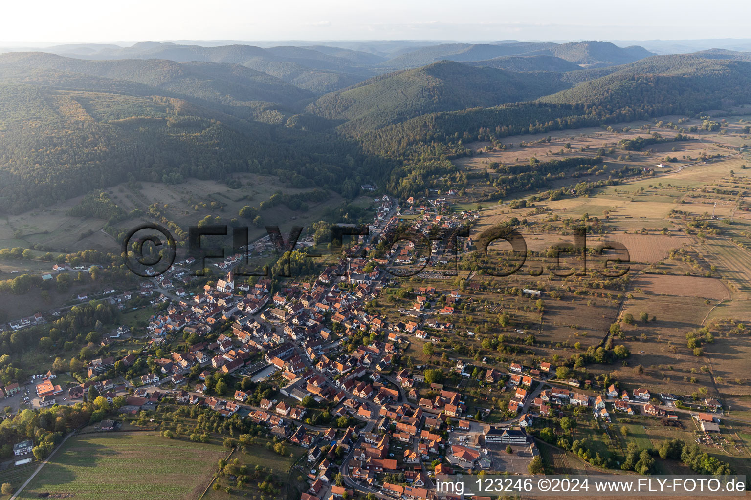 Lembach dans le département Bas Rhin, France d'en haut