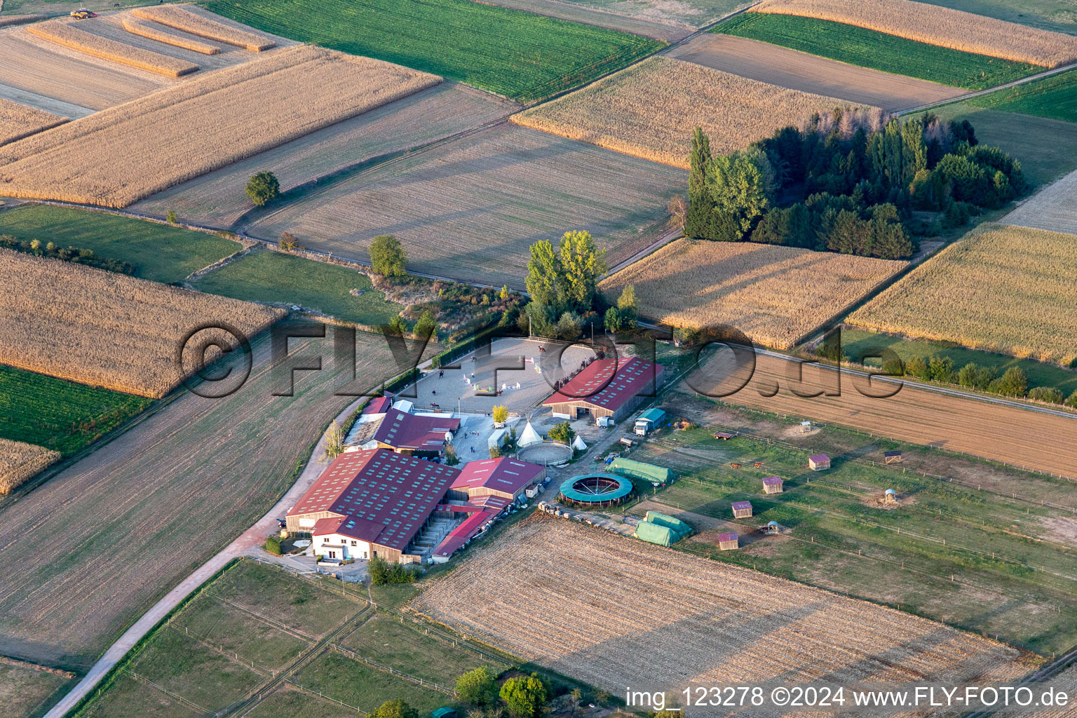 Vue aérienne de Écuries d'élevage d'animaux Élevage de chevaux Ecurie Du Lac à Retschwiller dans le département Bas Rhin, France