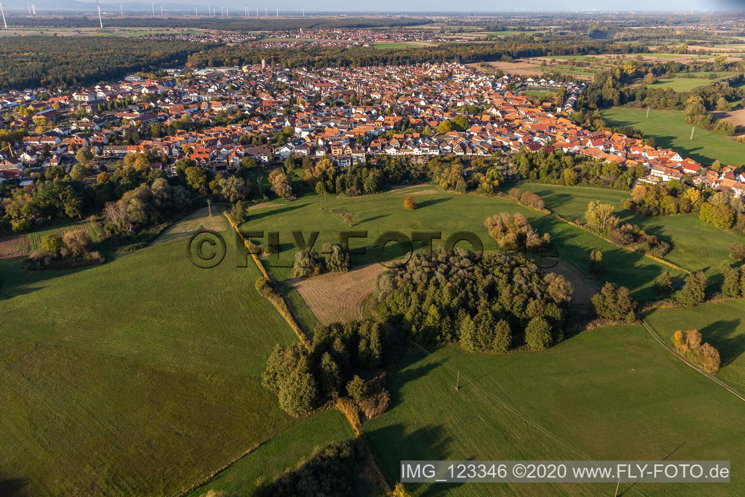 Vue aérienne de Se garer sur la Ziegelbergstrasse à Jockgrim dans le département Rhénanie-Palatinat, Allemagne