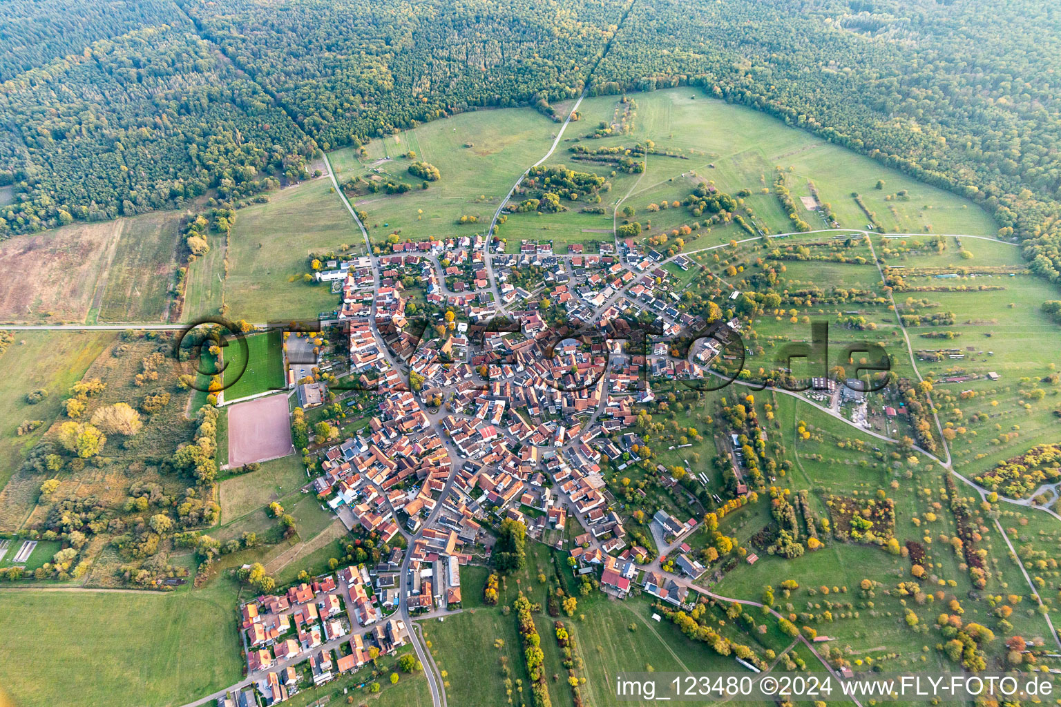 Vue aérienne de Quartier Büchelberg in Wörth am Rhein dans le département Rhénanie-Palatinat, Allemagne