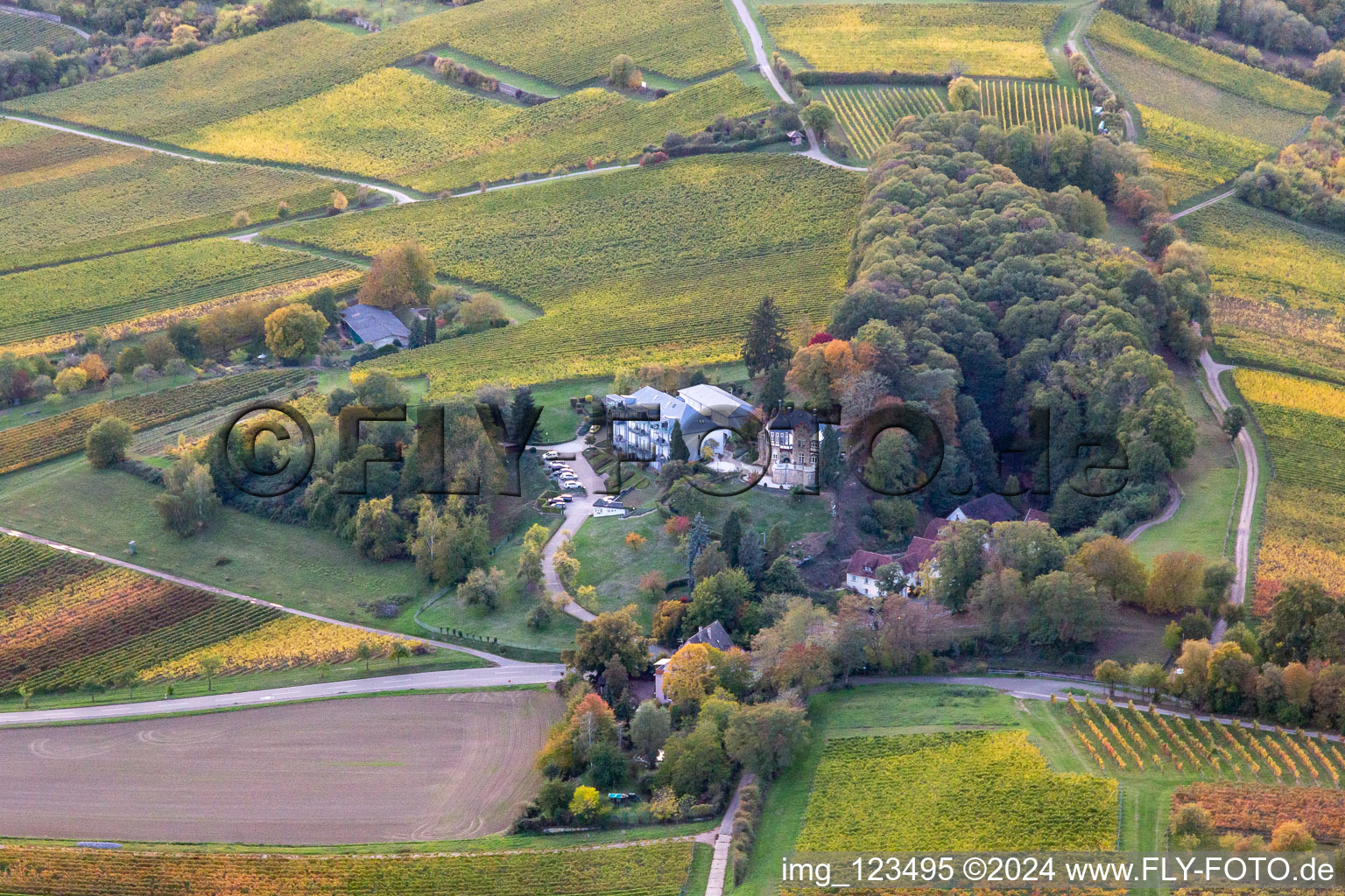 Vue aérienne de Weinstrasse 98A à le quartier Pleisweiler in Bad Bergzabern dans le département Rhénanie-Palatinat, Allemagne