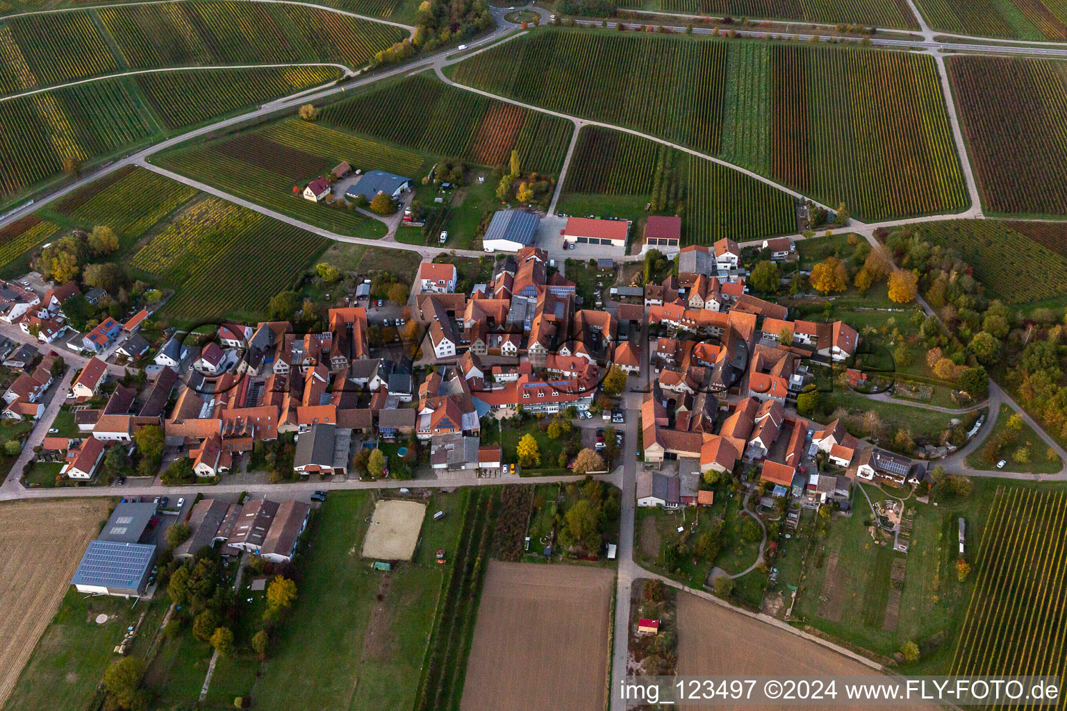 Quartier Oberhofen in Pleisweiler-Oberhofen dans le département Rhénanie-Palatinat, Allemagne hors des airs