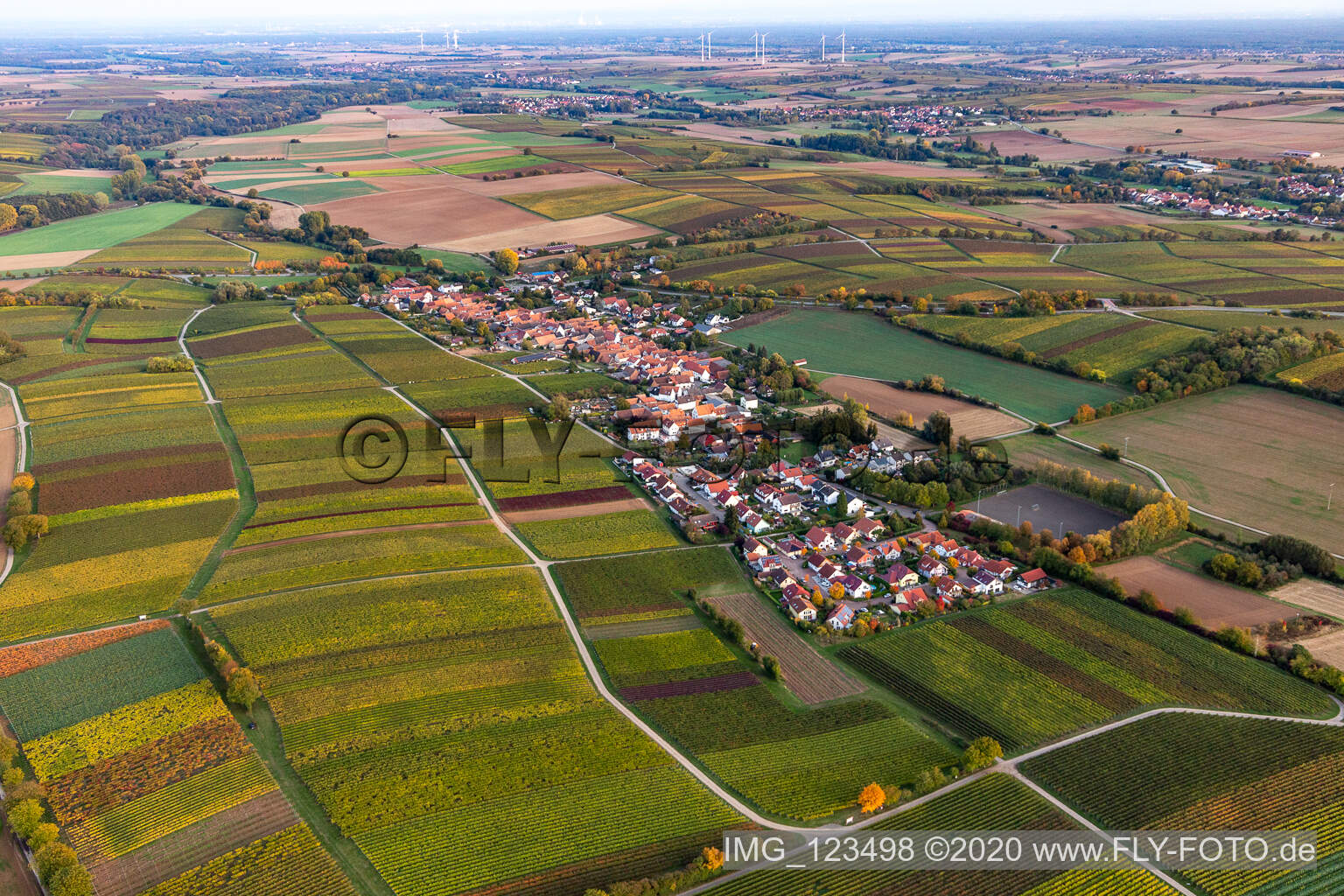 Photographie aérienne de Champs agricoles et surfaces utilisables à Niederhorbach dans le département Rhénanie-Palatinat, Allemagne