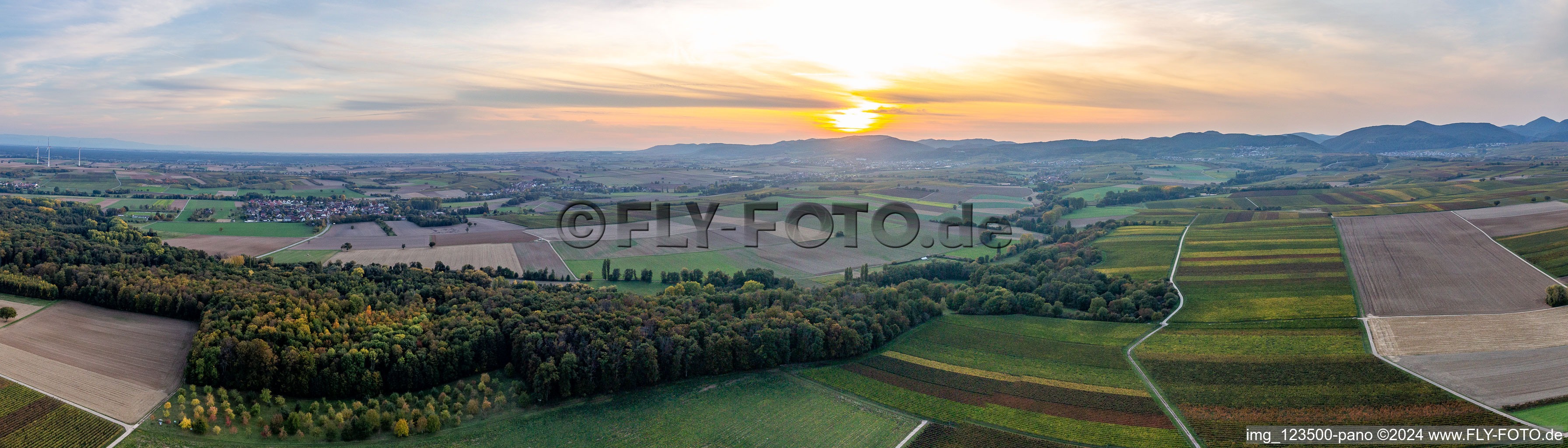Vue aérienne de Vue aérienne panoramique d'automne de l'Horbachtal boisé entre des champs aux couleurs automnales devant le Haardtrand au coucher du soleil à Billigheim-Ingenheim à Niederhorbach dans le département Rhénanie-Palatinat, Allemagne