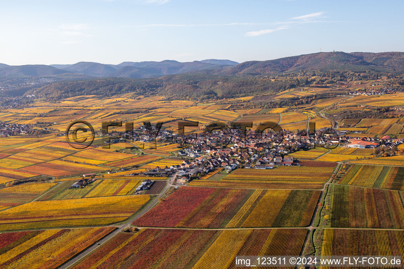 Vue aérienne de Vue sur la végétation automnale décolorée des vignobles autour du village viticole de Kallstadt à le quartier Ungstein in Bad Dürkheim dans le département Rhénanie-Palatinat, Allemagne