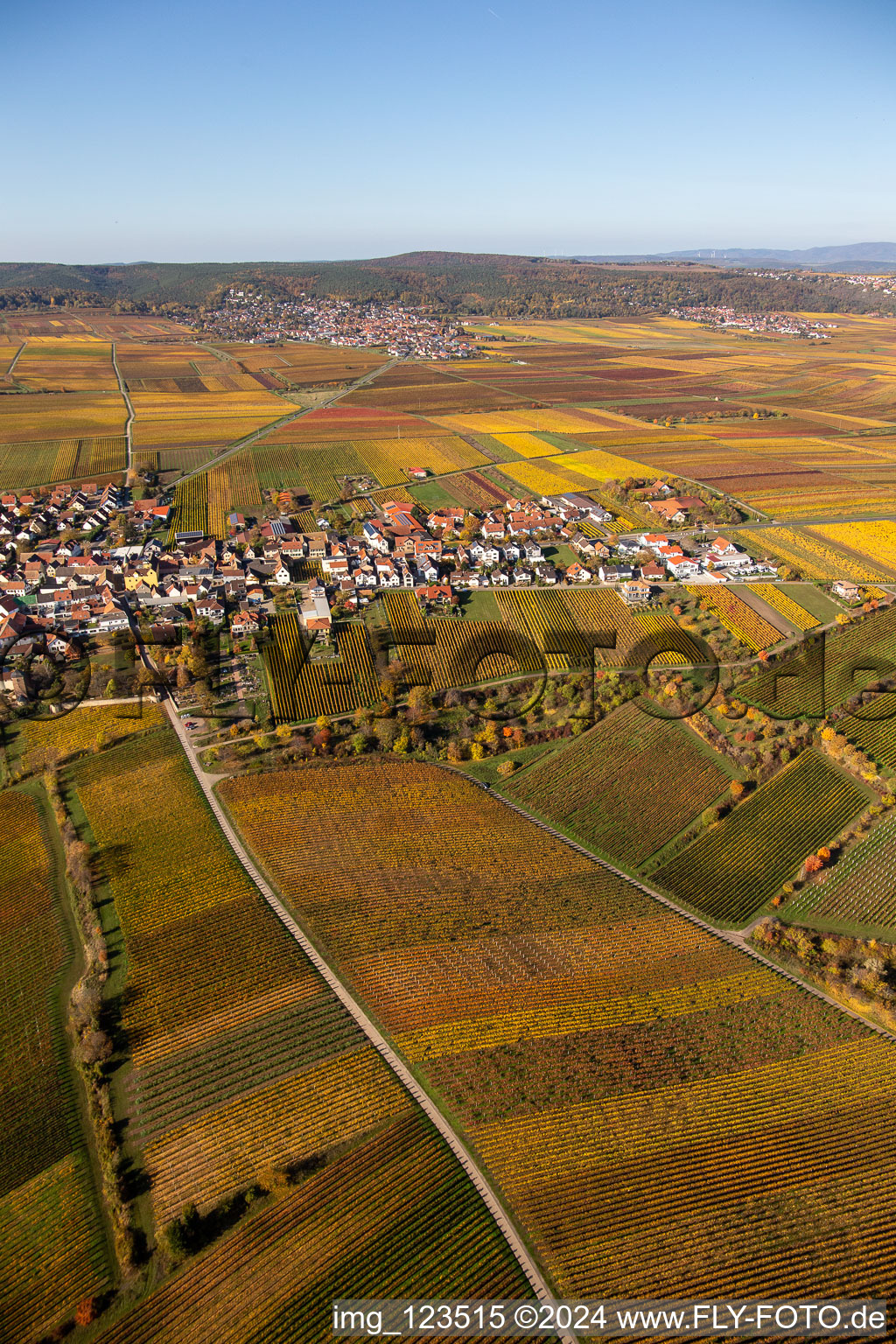 Vue aérienne de Vignobles sur le Haardtrand à Weisenheim am Berg dans le département Rhénanie-Palatinat, Allemagne