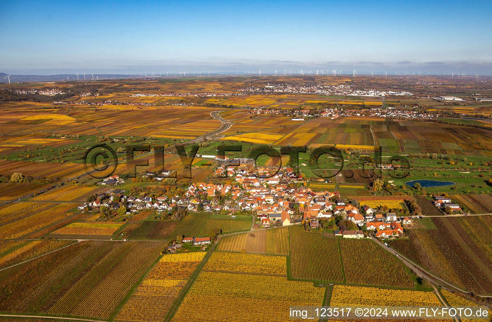 Vue aérienne de Dackenheim dans le département Rhénanie-Palatinat, Allemagne