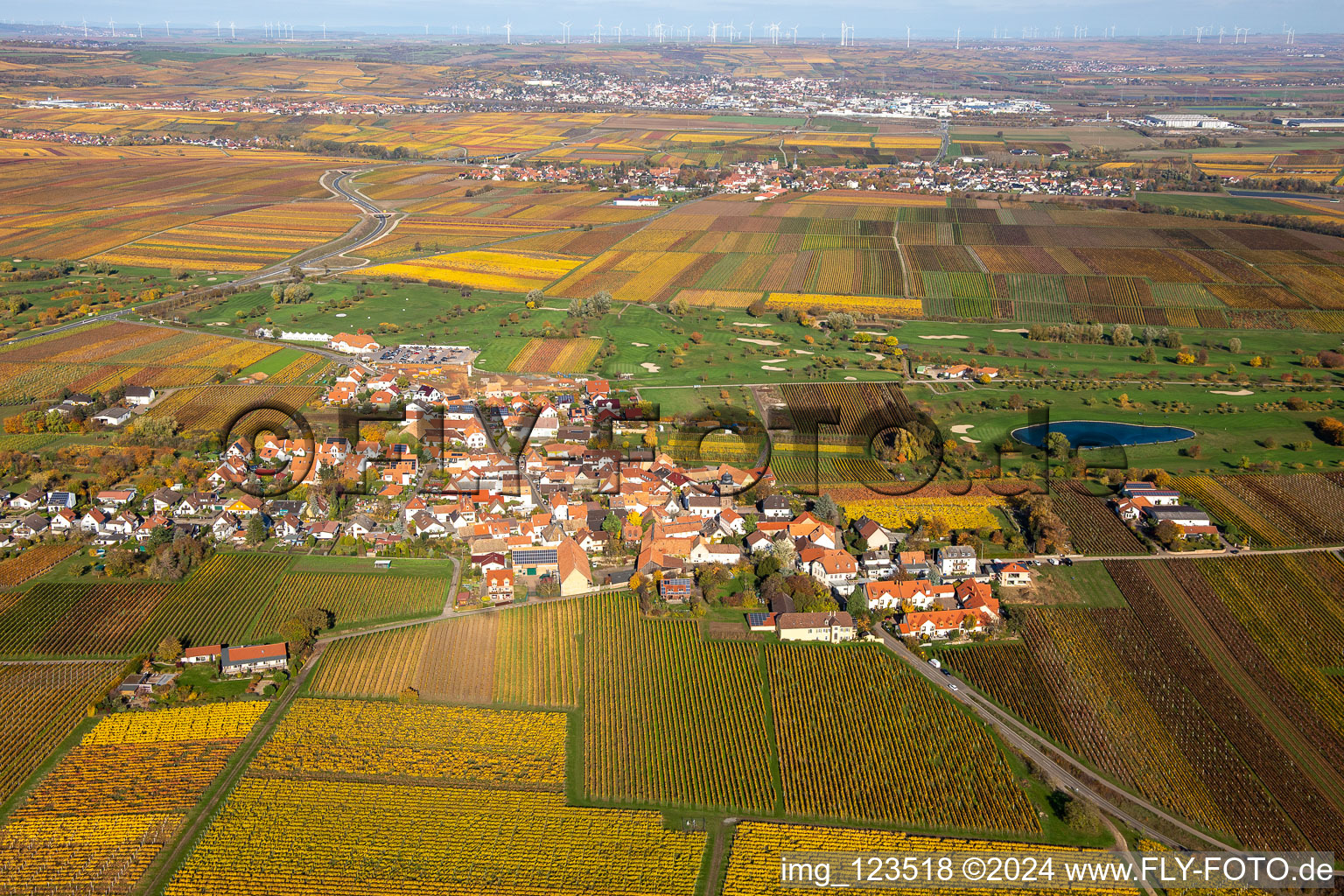 Vue aérienne de Superficie du terrain de golf Golfgarten Deutsche Weinstraße - Dackenheim - GOLF absolu à Dackenheim dans le département Rhénanie-Palatinat, Allemagne