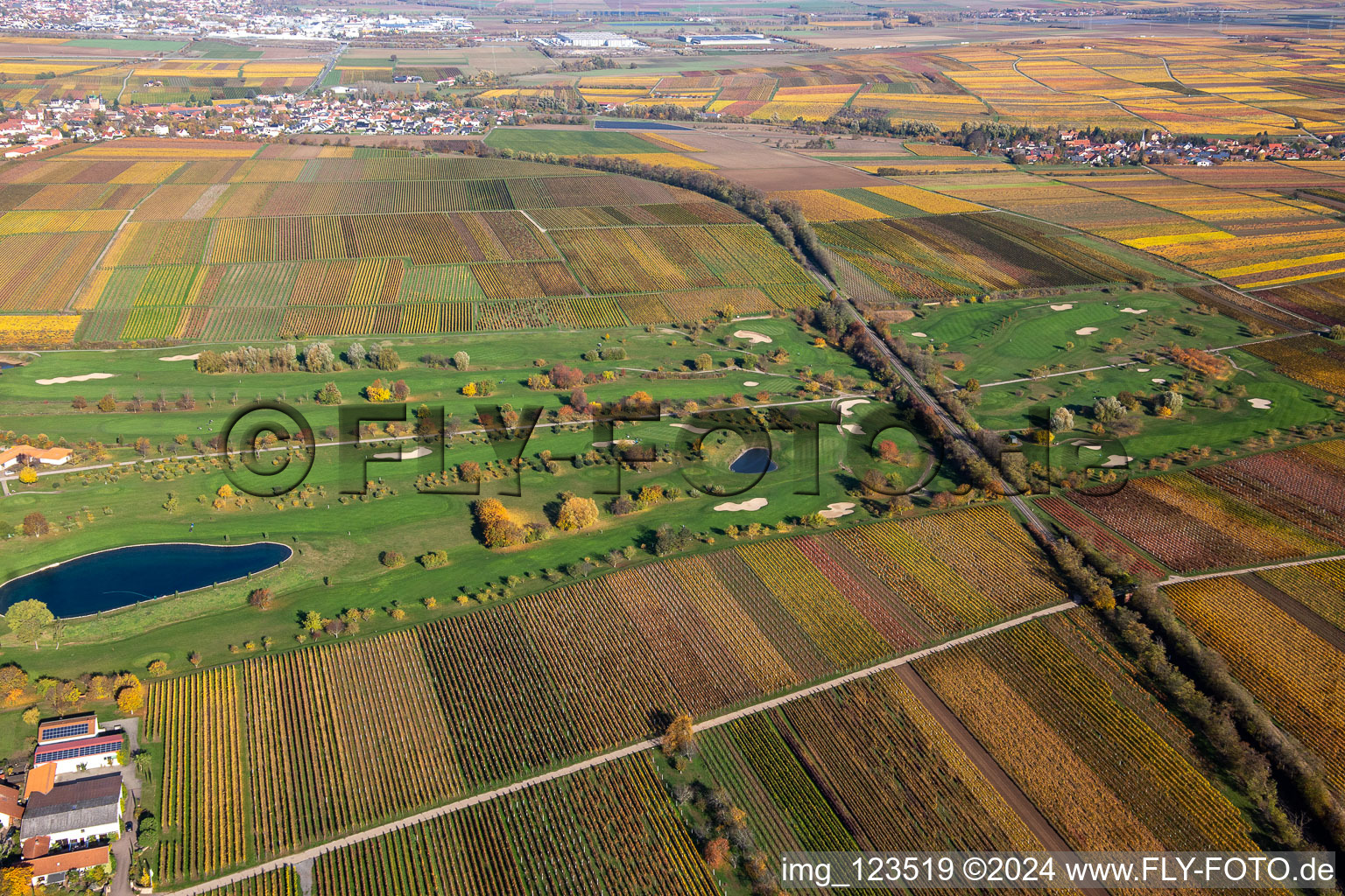 Vue aérienne de Golf Garden Route des vins allemande à Dackenheim dans le département Rhénanie-Palatinat, Allemagne