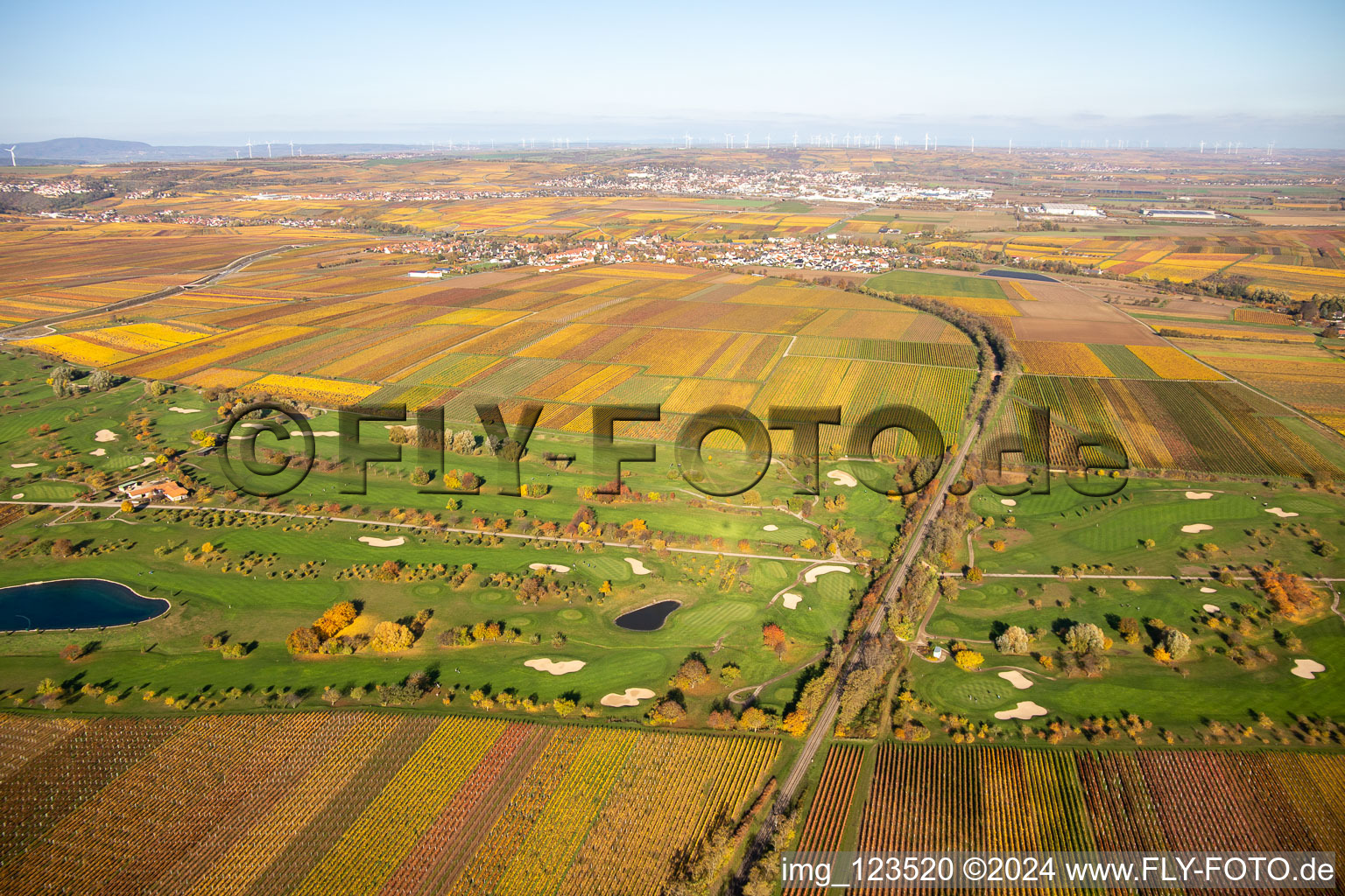 Vue aérienne de Golf Garden Route des vins allemande à Dackenheim dans le département Rhénanie-Palatinat, Allemagne