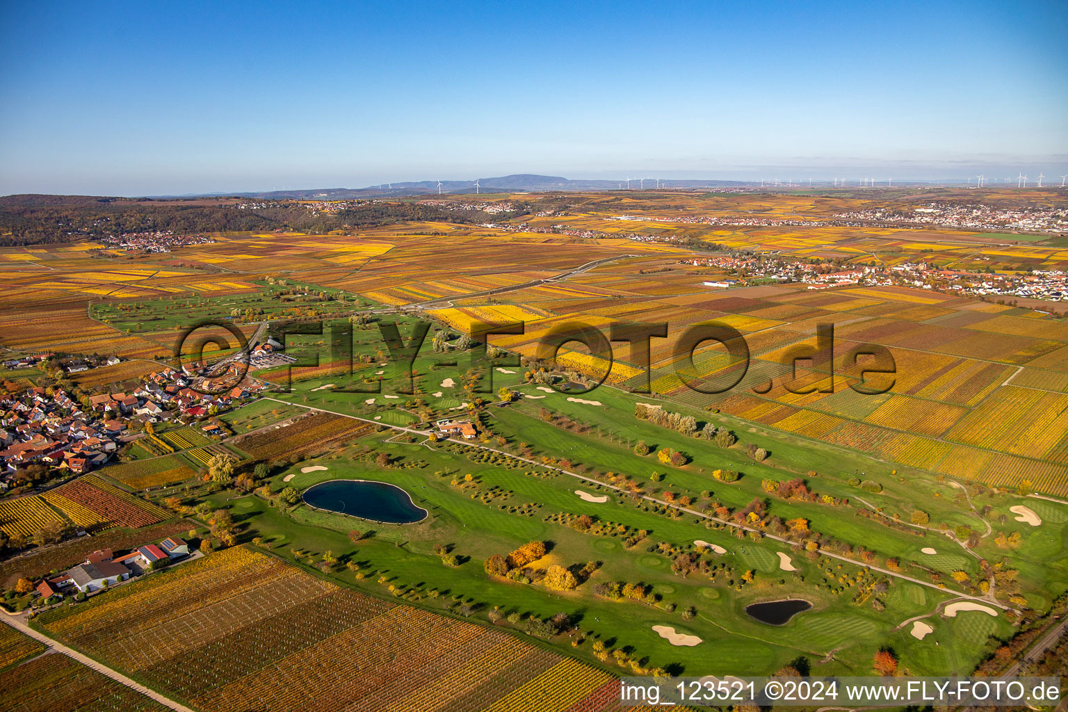 Photographie aérienne de Golf Garden Route des vins allemande à Dackenheim dans le département Rhénanie-Palatinat, Allemagne