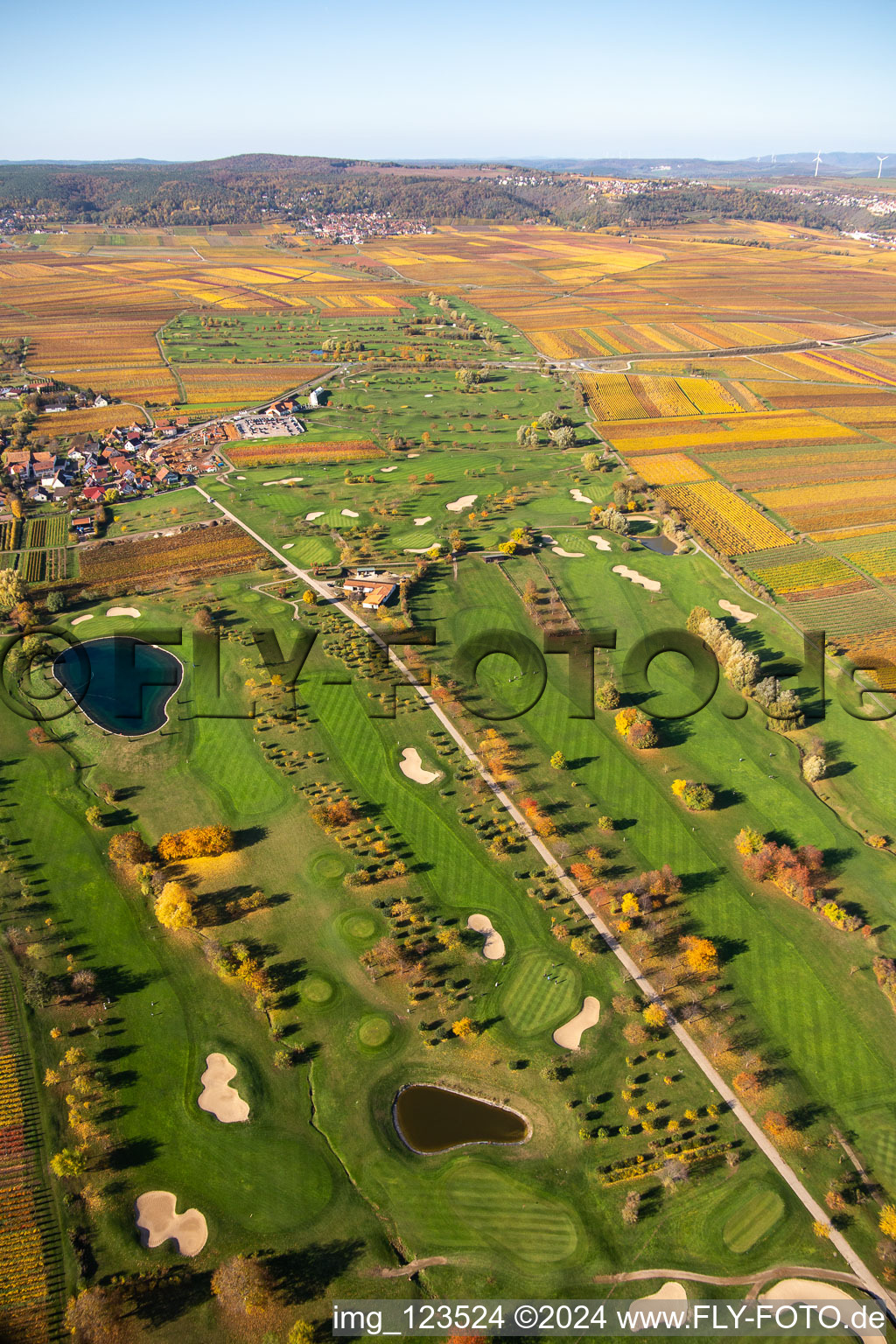 Vue oblique de Superficie du terrain de golf Golfgarten Deutsche Weinstraße - Dackenheim - GOLF absolu à Dackenheim dans le département Rhénanie-Palatinat, Allemagne