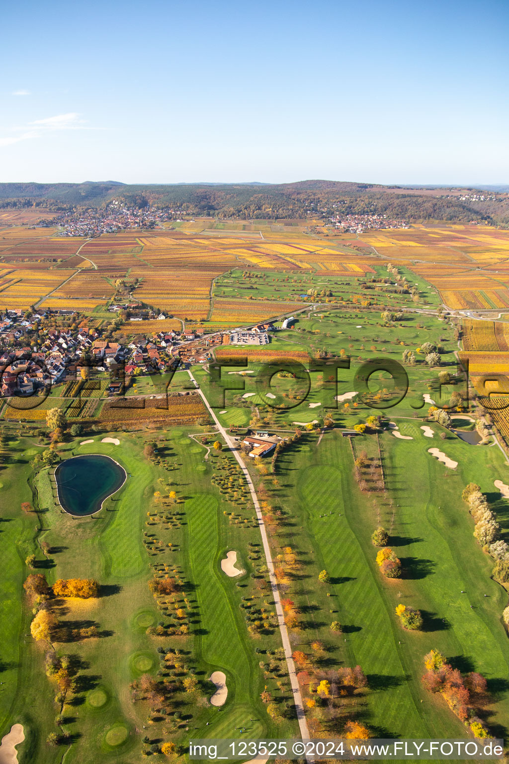 Vue oblique de Golf Garden Route des vins allemande à Dackenheim dans le département Rhénanie-Palatinat, Allemagne