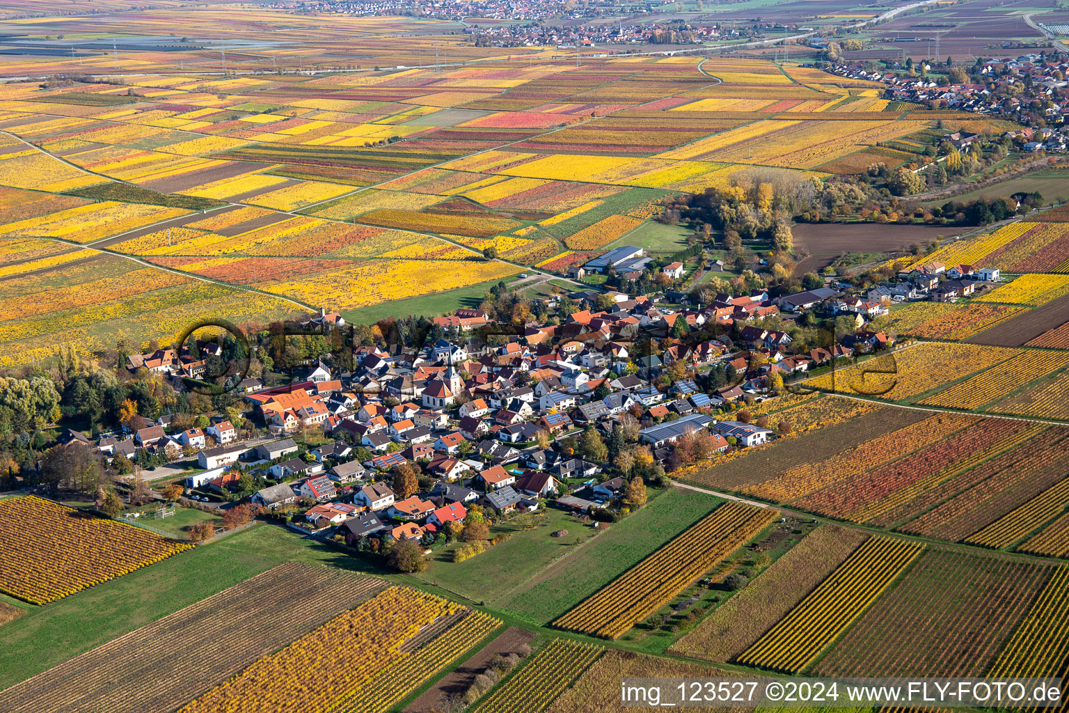 Vue aérienne de Vue de la végétation automnale décolorée Bissersheim à Bissersheim dans le département Rhénanie-Palatinat, Allemagne