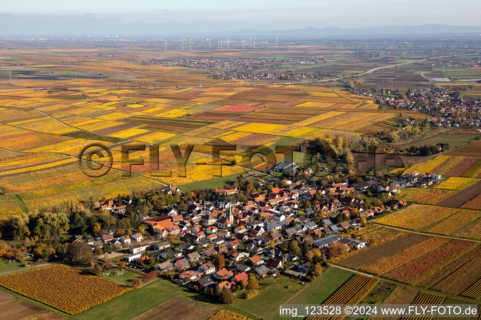 Vue aérienne de Vue de la végétation automnale décolorée Bissersheim à Bissersheim dans le département Rhénanie-Palatinat, Allemagne