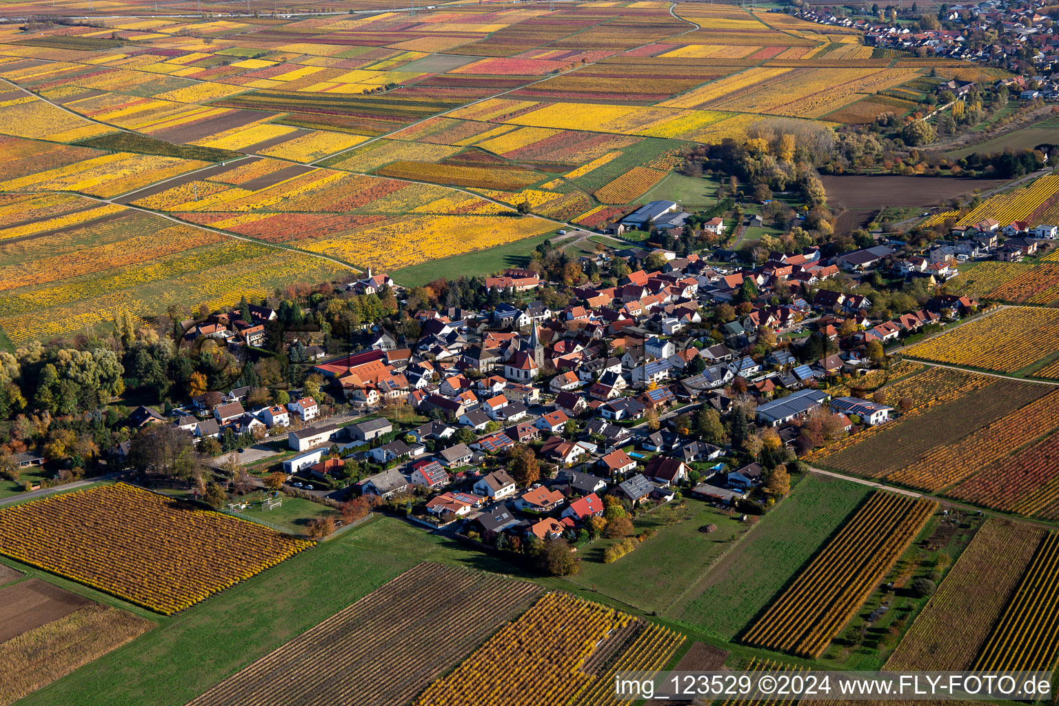 Photographie aérienne de Bissersheim dans le département Rhénanie-Palatinat, Allemagne