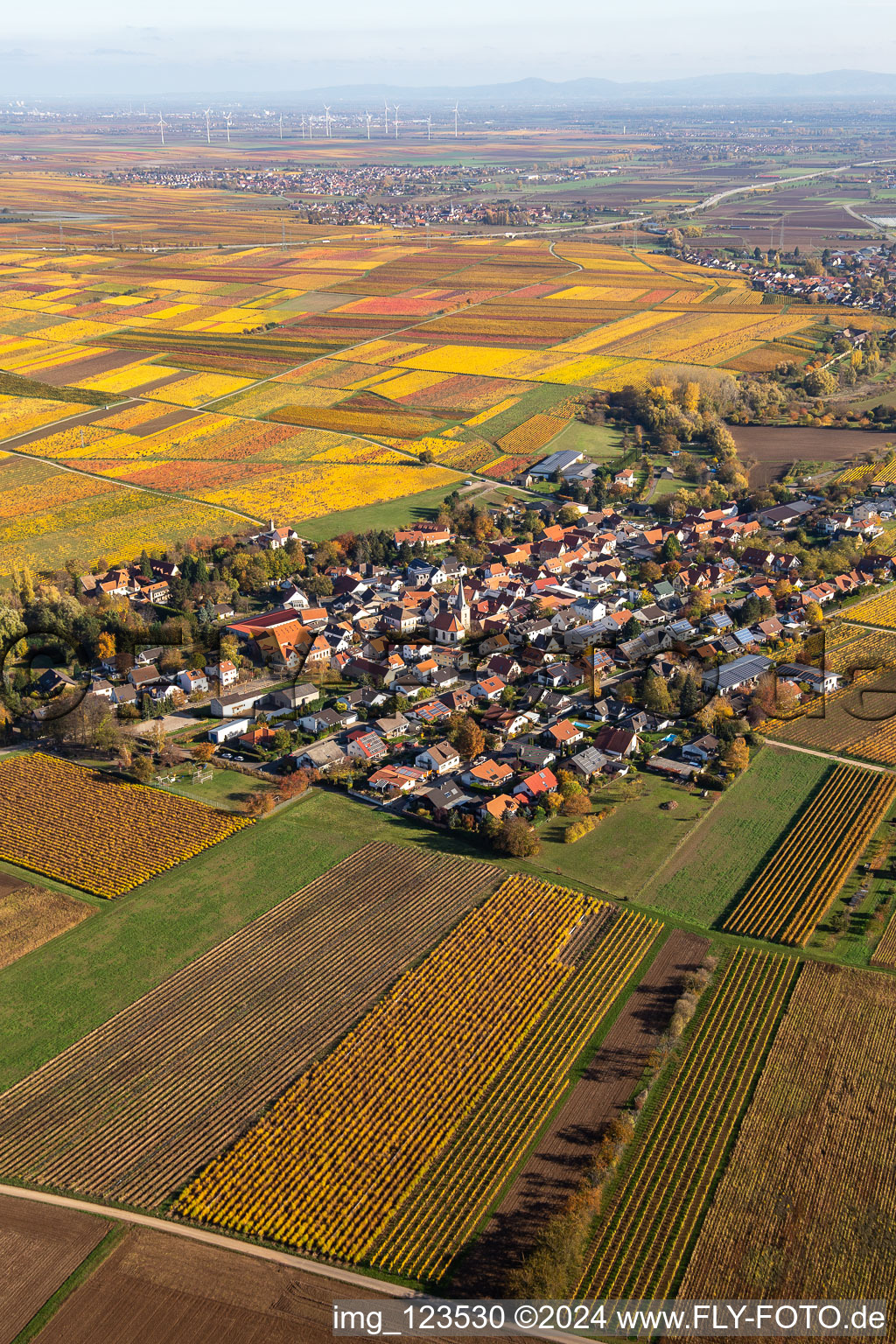 Photographie aérienne de Vue de la végétation automnale décolorée Bissersheim à Bissersheim dans le département Rhénanie-Palatinat, Allemagne