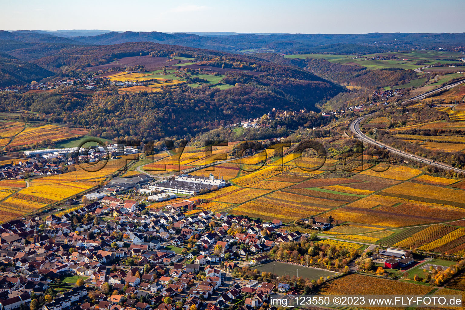 Vue aérienne de Végétation automnale décolorée vue de la lisière des vignes et des domaines viticoles du vignoble en Sausenheim à le quartier Sausenheim in Grünstadt dans le département Rhénanie-Palatinat, Allemagne