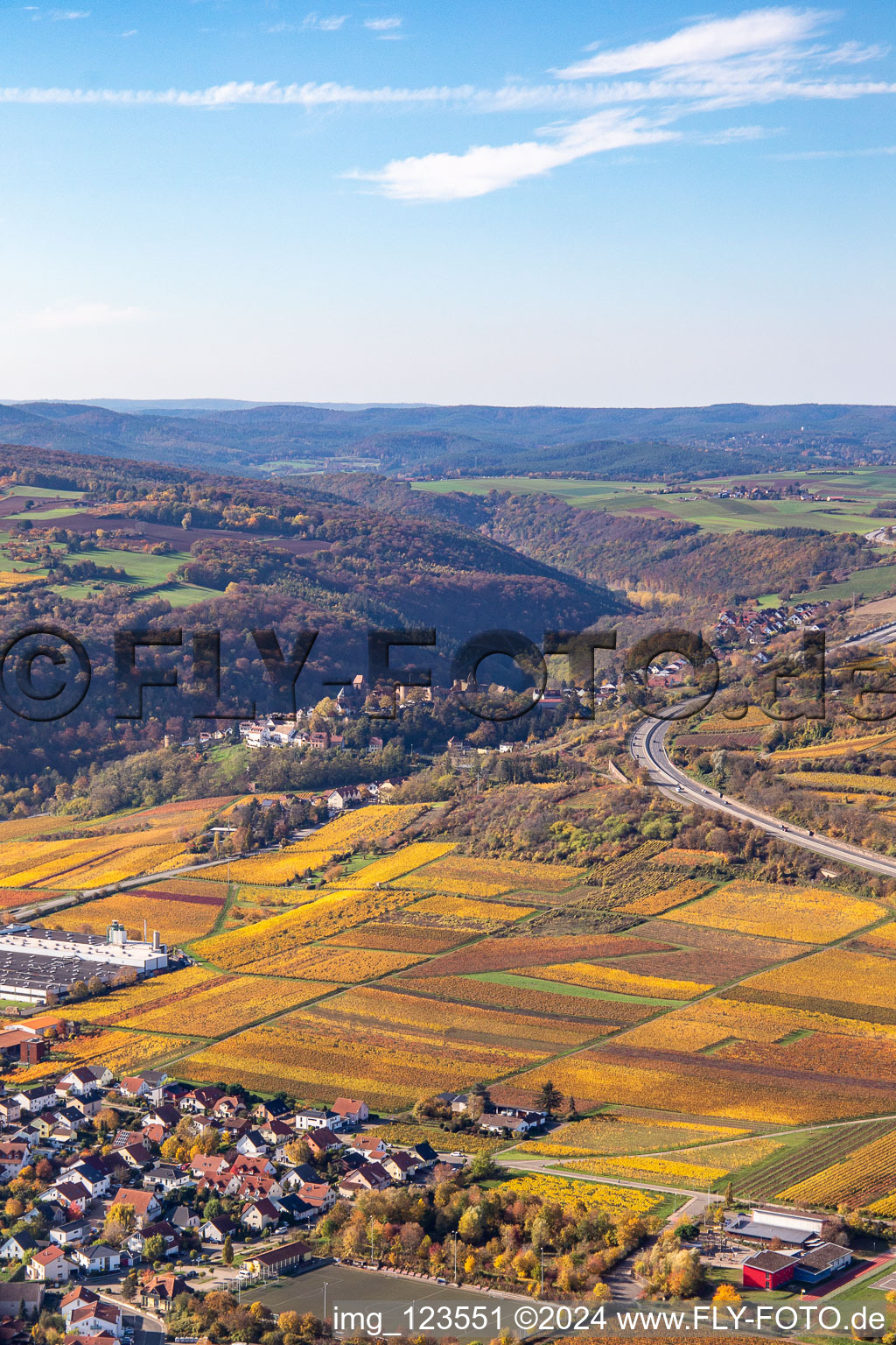 Vue aérienne de Vignobles décolorés automnaux entre Sausenheim et Neuleiningen à Neuleiningen dans le département Rhénanie-Palatinat, Allemagne