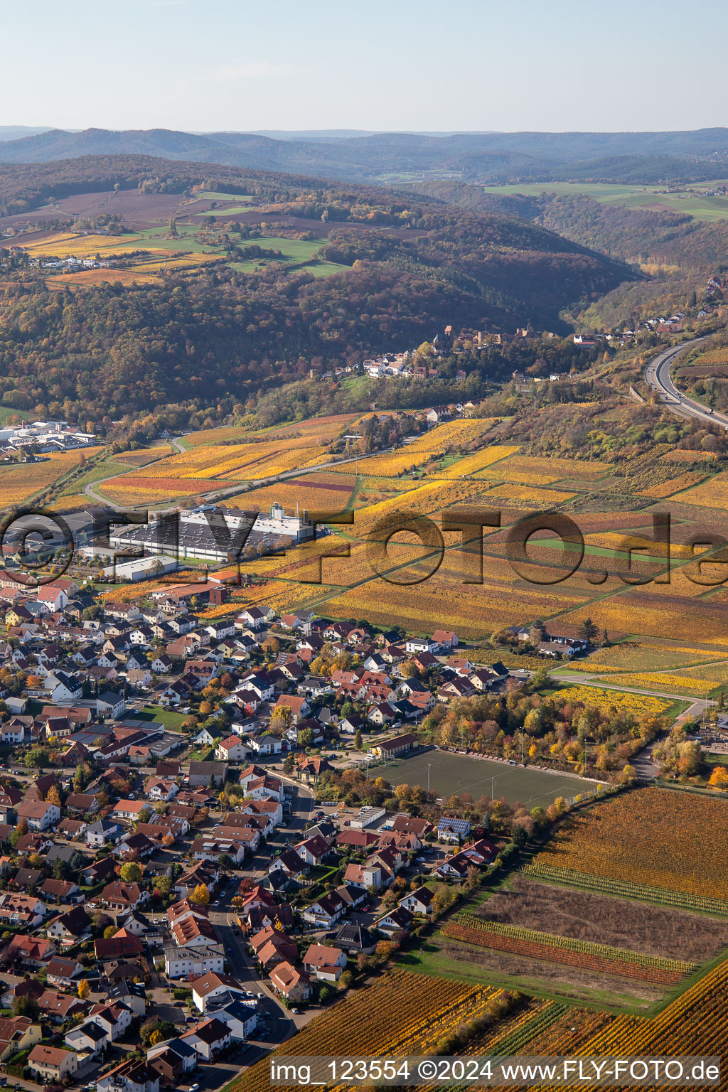 Vue aérienne de Locaux de l'usine Wellpappenfabrik GmbH à le quartier Sausenheim in Grünstadt dans le département Rhénanie-Palatinat, Allemagne