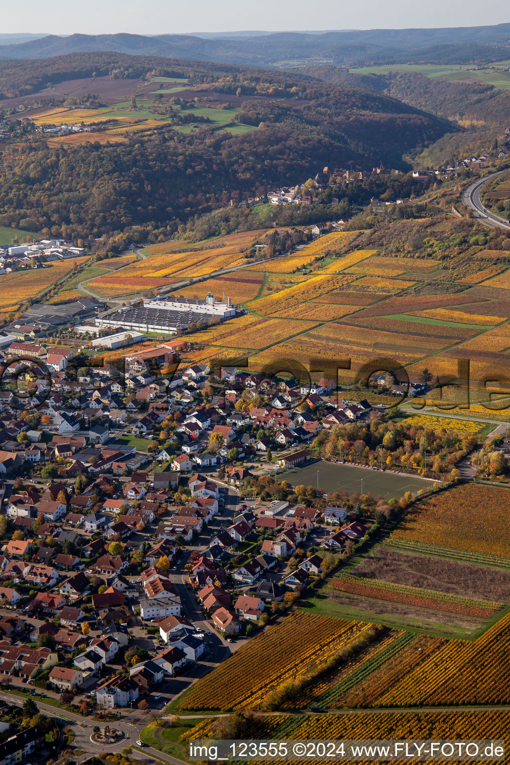 Vue aérienne de Quartier Sausenheim in Grünstadt dans le département Rhénanie-Palatinat, Allemagne