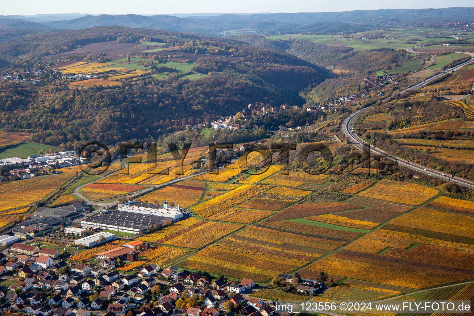 Vue aérienne de Vignobles décolorés automnaux entre Sausenheim et Neuleiningen à Neuleiningen dans le département Rhénanie-Palatinat, Allemagne