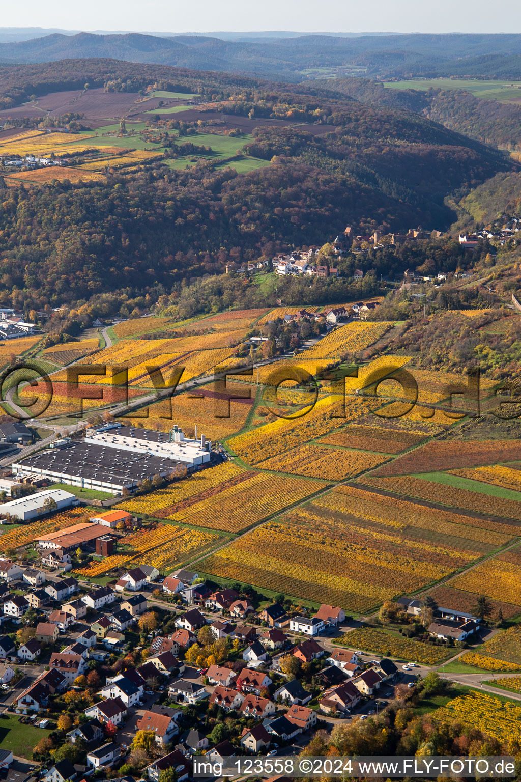 Vue aérienne de Neuleiningen dans le département Rhénanie-Palatinat, Allemagne