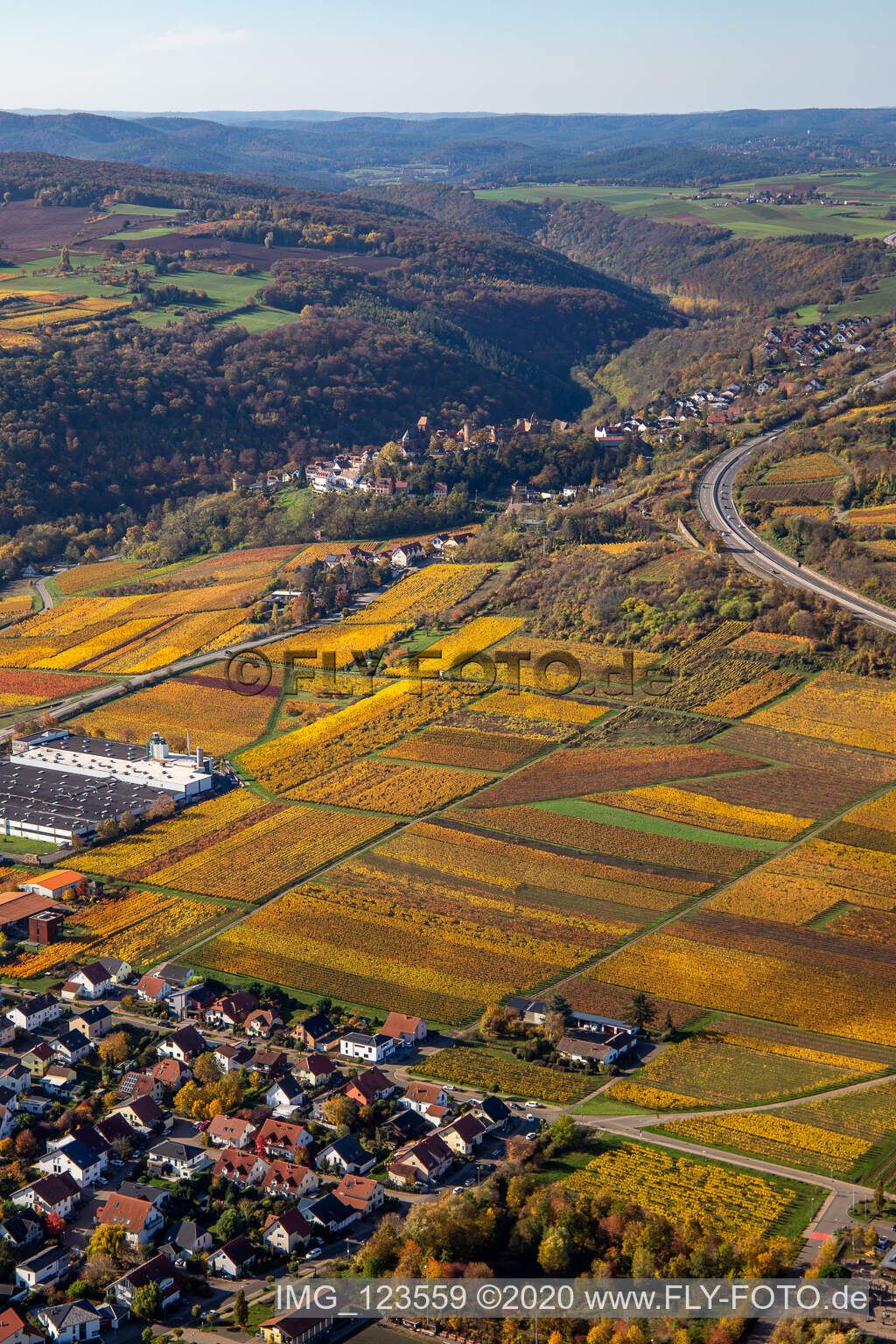 Photographie aérienne de Vignes décolorées automnales entre Sausenheim et Neuleiningen à Neuleiningen dans le département Rhénanie-Palatinat, Allemagne