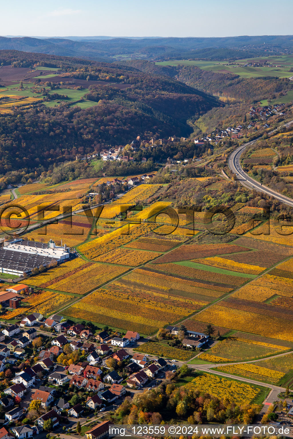 Photographie aérienne de Vignobles décolorés automnaux entre Sausenheim et Neuleiningen à Neuleiningen dans le département Rhénanie-Palatinat, Allemagne