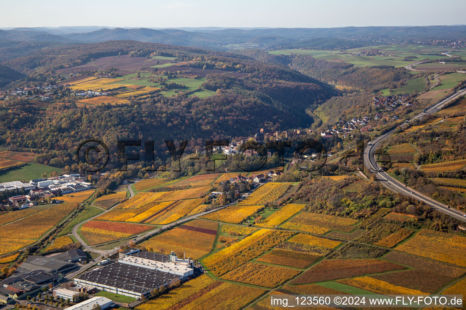 Photographie aérienne de Neuleiningen dans le département Rhénanie-Palatinat, Allemagne