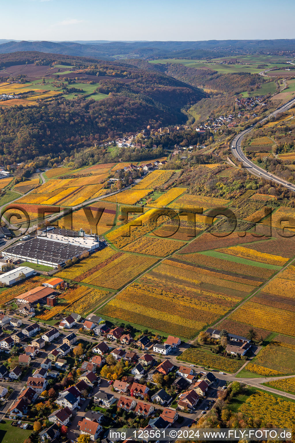 Vue oblique de Neuleiningen dans le département Rhénanie-Palatinat, Allemagne