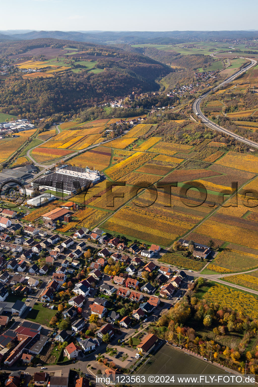 Vue oblique de Vignobles décolorés automnaux entre Sausenheim et Neuleiningen à Neuleiningen dans le département Rhénanie-Palatinat, Allemagne