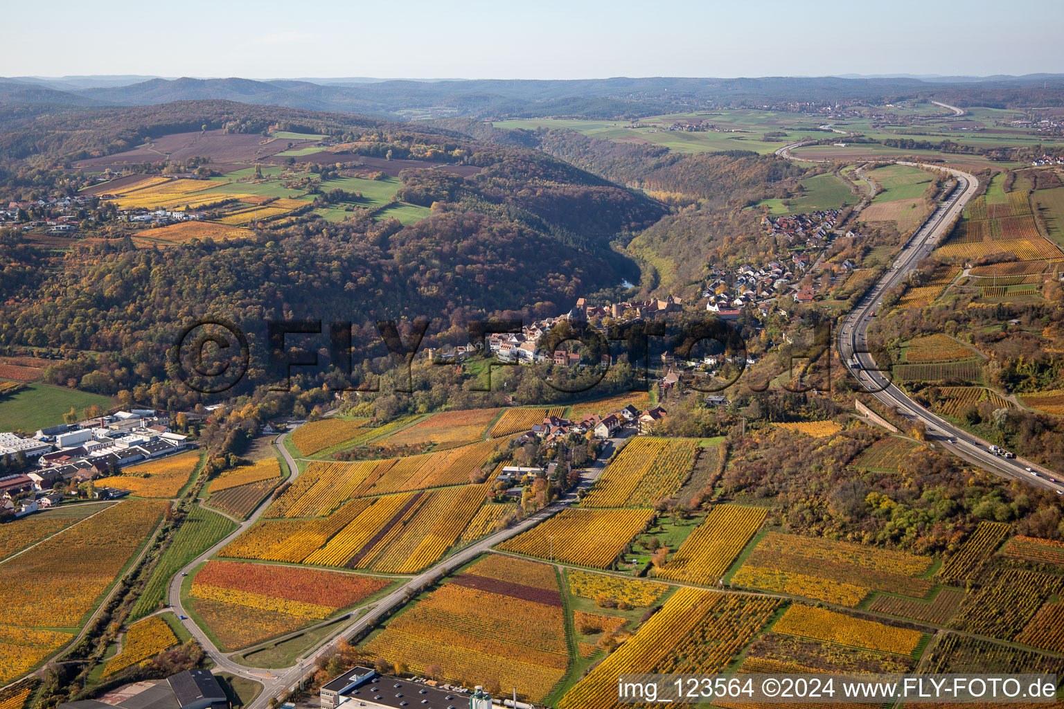 Vue aérienne de Vue sur la végétation automnale décolorée en lisière des vignes et des domaines viticoles de la région viticole à Neuleiningen dans le département Rhénanie-Palatinat, Allemagne