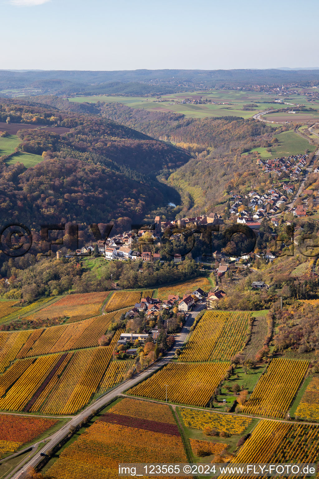 Neuleiningen dans le département Rhénanie-Palatinat, Allemagne hors des airs