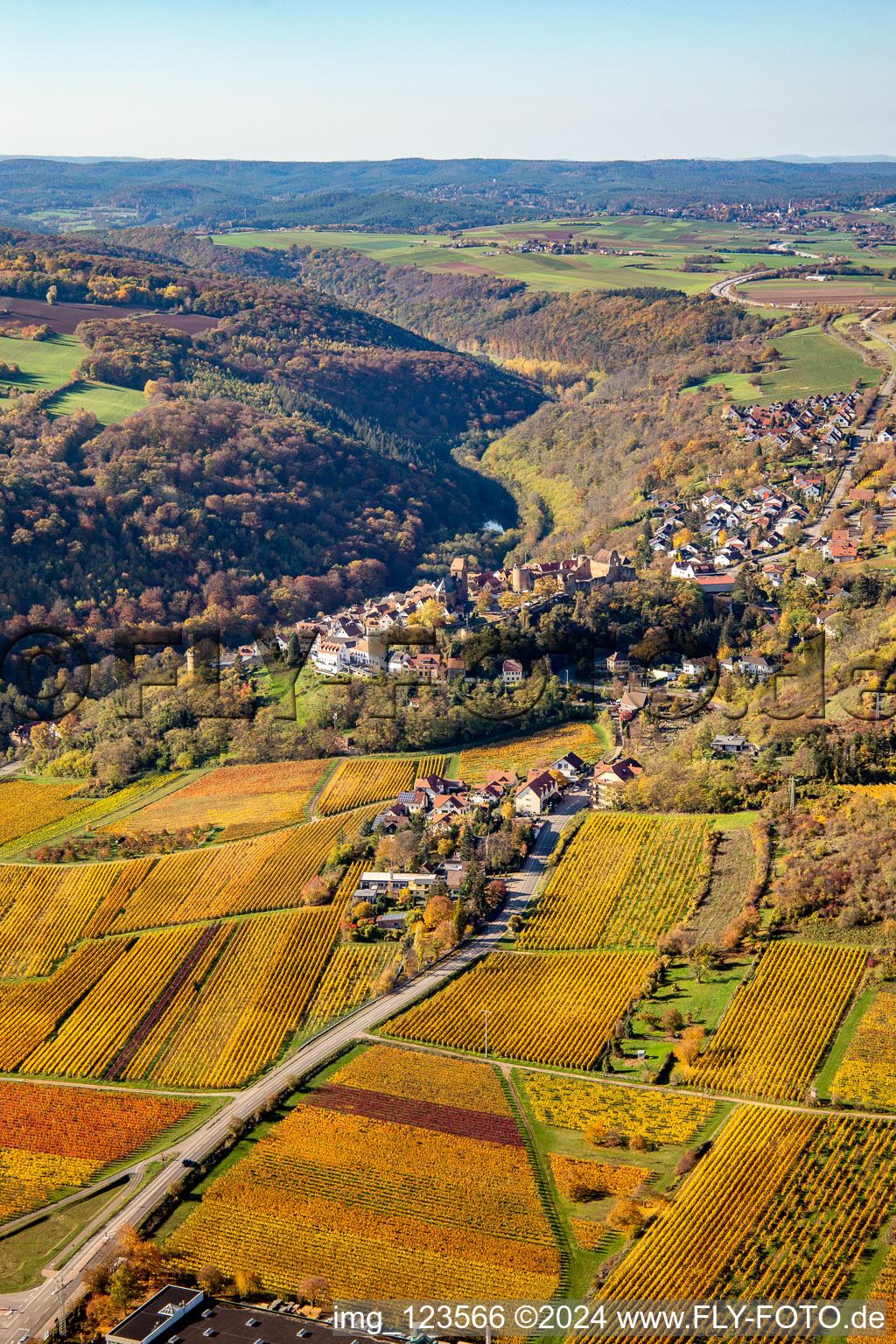 Vue aérienne de Vue sur la végétation automnale décolorée en lisière des vignes et des domaines viticoles de la région viticole à Neuleiningen dans le département Rhénanie-Palatinat, Allemagne