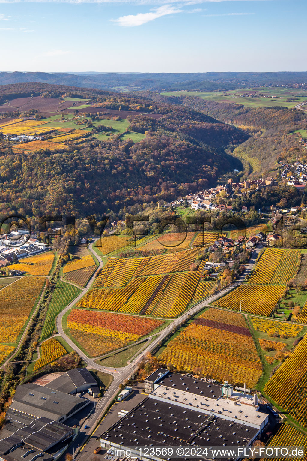 Neuleiningen dans le département Rhénanie-Palatinat, Allemagne depuis l'avion