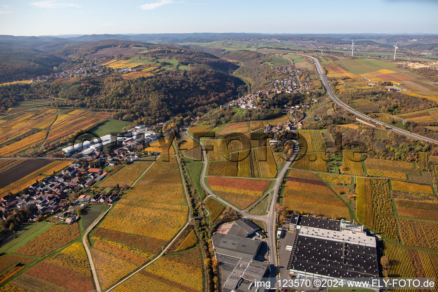 Vue d'oiseau de Neuleiningen dans le département Rhénanie-Palatinat, Allemagne