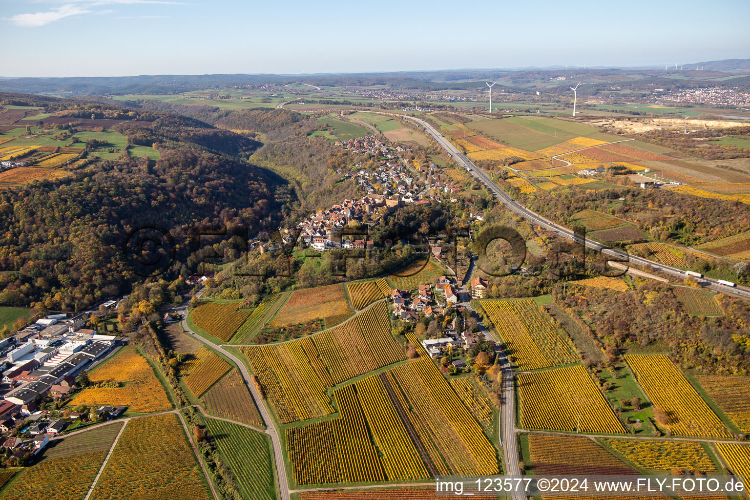 Photographie aérienne de Vue sur la végétation automnale décolorée en lisière des vignes et des domaines viticoles de la région viticole à Neuleiningen dans le département Rhénanie-Palatinat, Allemagne