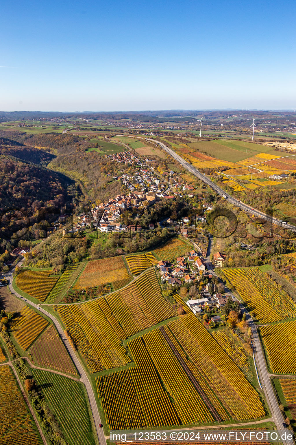 Vue oblique de Vue sur la végétation automnale décolorée en lisière des vignes et des domaines viticoles de la région viticole à Neuleiningen dans le département Rhénanie-Palatinat, Allemagne