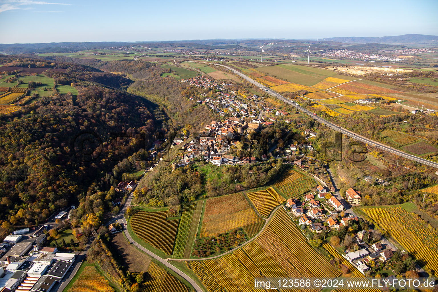 Vue aérienne de Château de Neuen à Neuleiningen dans le département Rhénanie-Palatinat, Allemagne