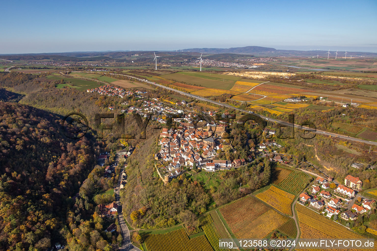 Vue sur la végétation automnale décolorée en lisière des vignes et des domaines viticoles de la région viticole à Neuleiningen dans le département Rhénanie-Palatinat, Allemagne d'en haut