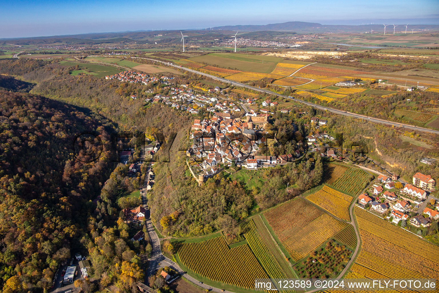 Vue aérienne de Vignobles automnaux autour du château et de la ville Neuleiningen/Pfal à Neuleiningen dans le département Rhénanie-Palatinat, Allemagne