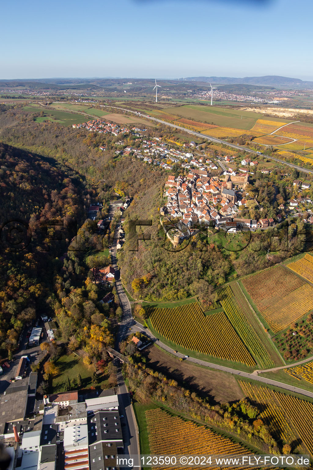 Vue aérienne de Château de Neuen à Neuleiningen dans le département Rhénanie-Palatinat, Allemagne