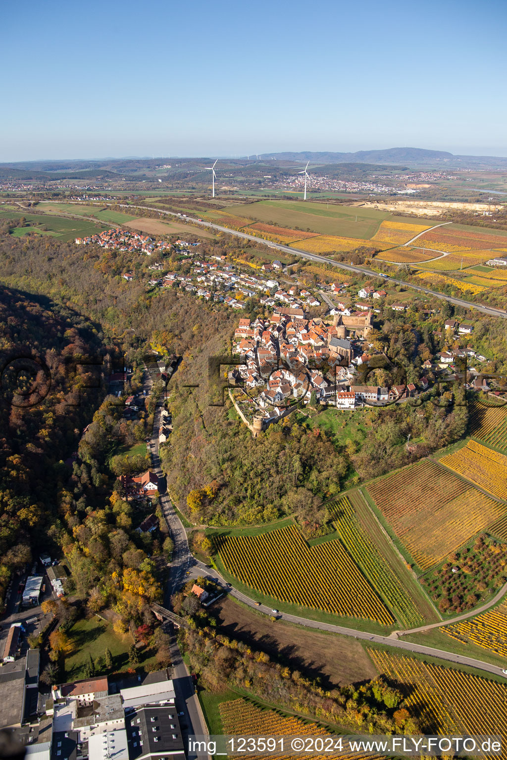 Photographie aérienne de Château de Neuen à Neuleiningen dans le département Rhénanie-Palatinat, Allemagne