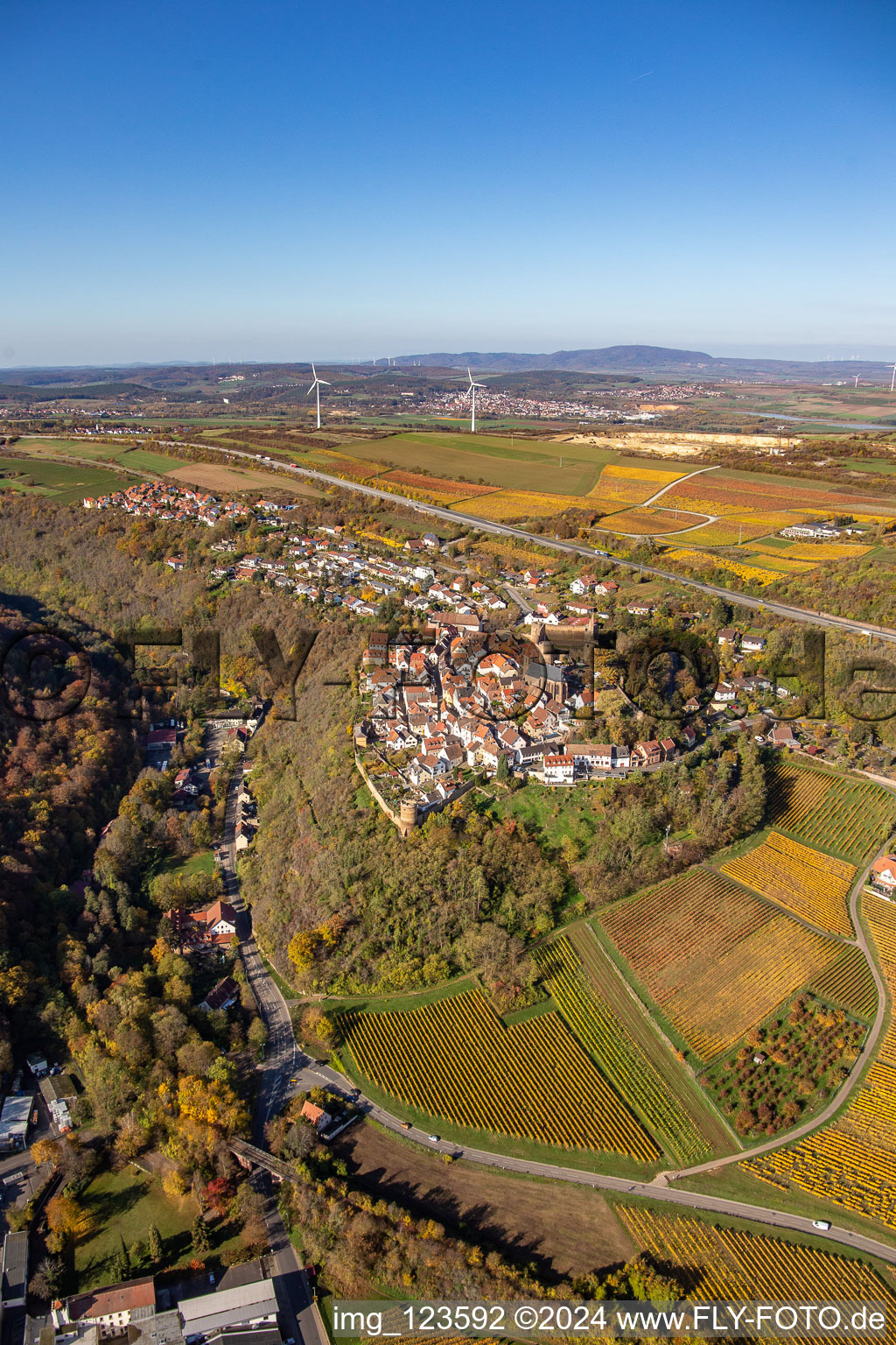 Vue sur la végétation automnale décolorée en lisière des vignes et des domaines viticoles de la région viticole à Neuleiningen dans le département Rhénanie-Palatinat, Allemagne hors des airs